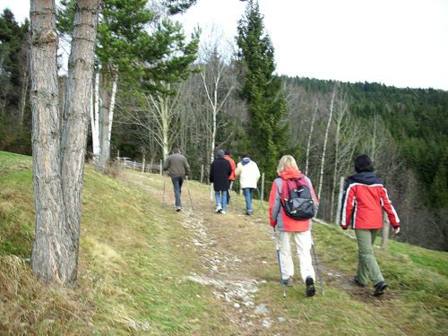 Hoja (Hafellner) Hoja (Hafellner)