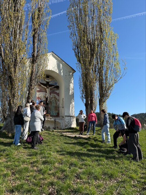 Weißes Kreuz am Maria Saaler Berg (Foto: Sara Dolzer)