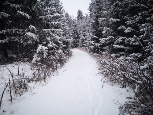 Bildunterschrift (Bildrechte sind zwingend anzugeben!)