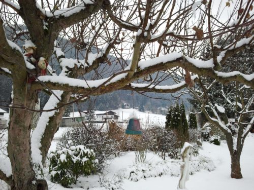 Endlich weiße Wiesen und Felder. Sneži, vse se veseli! (© Foto: zp)