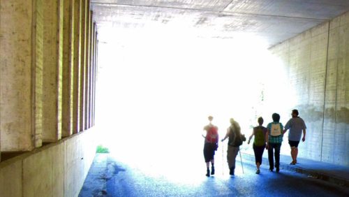 Auf dem gemeinsamen Weg in eine “lichtvolle“ Zukunft (© Foto: KH Kronawetter / Internetredaktion) Auf dem gemeinsamen Weg in eine “lichtvolle“ Zukunft (© Foto: KH Kronawetter / Internetredaktion)