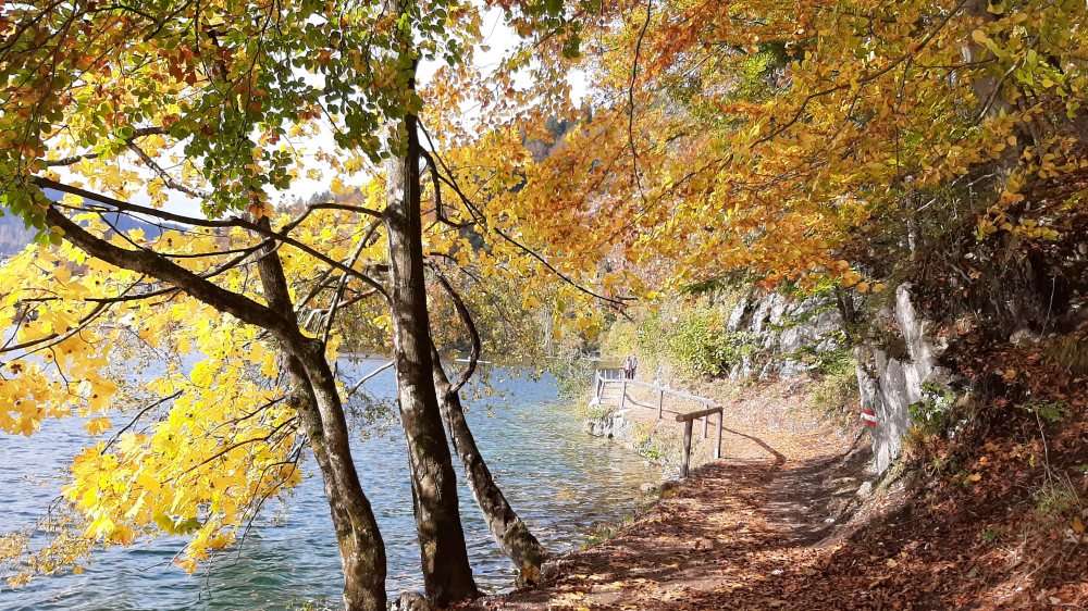 Am Wolfgangsee |  © Foto: Monika Suntinger