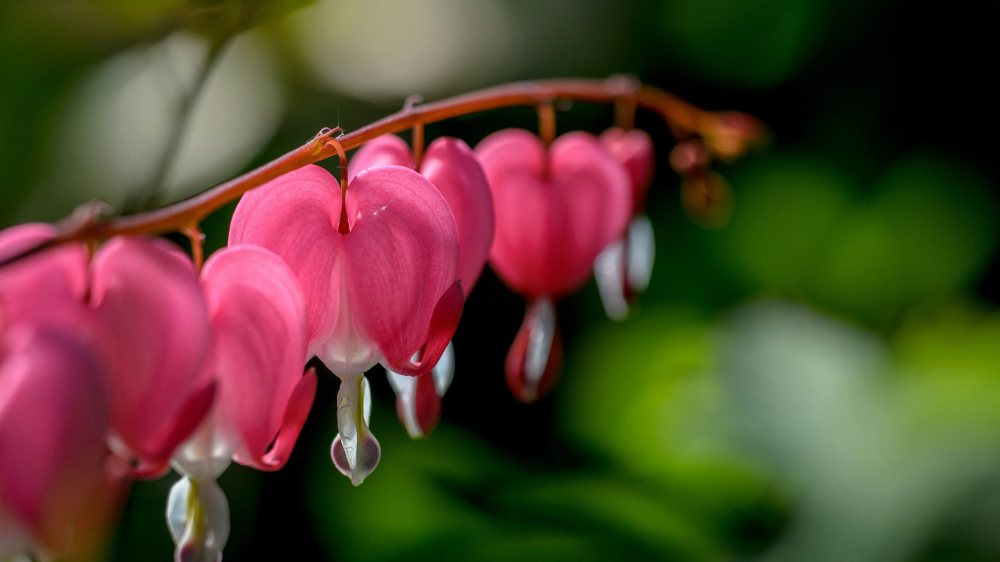  © Foto: Dominik Scythe/unsplash