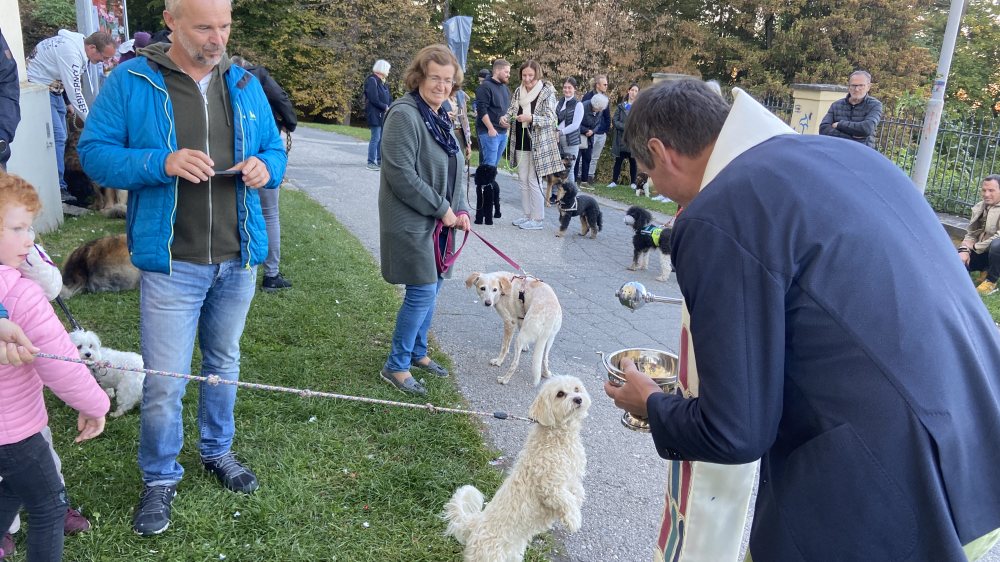 Die Tiere werden einzeln gesegnet. |  © Foto: Stadtpastoral/Binder