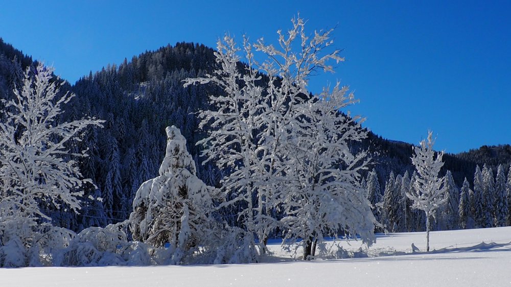  © Foto: Monika Gschwandner