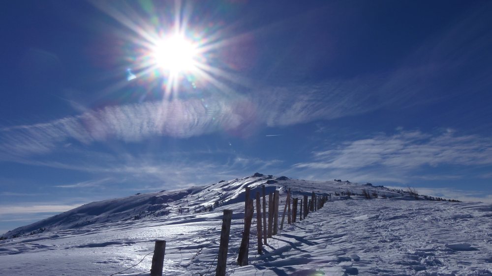  © Foto: Monika Gschwandner
