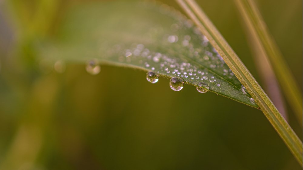  © Foto: Ben Kusik auf unsplash