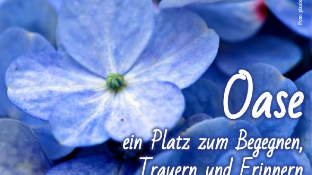  © Foto: Wassermann-Dullnig