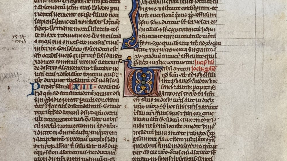  &copy; Foto: Klaus Einspieler