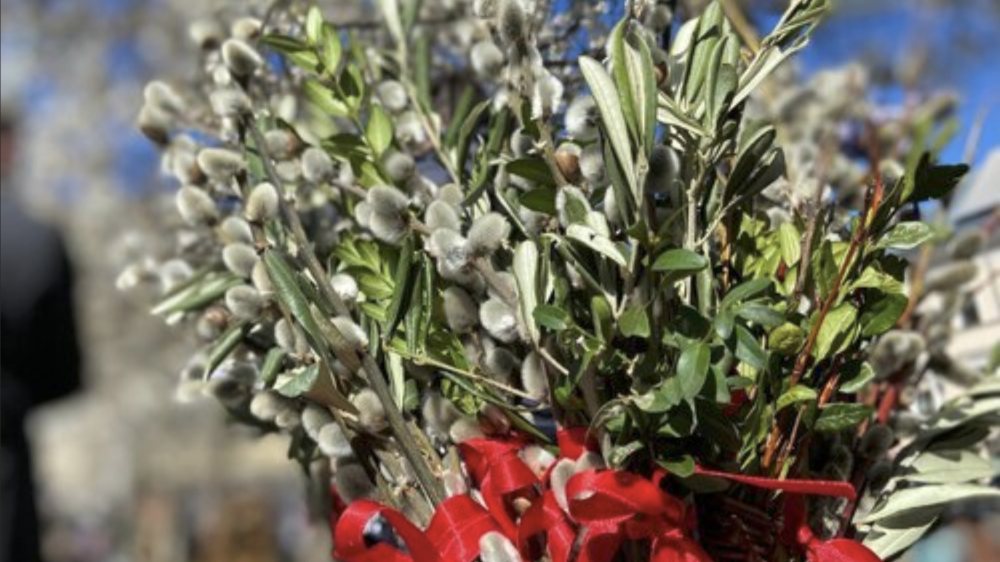  &copy; Foto: Iris Binder