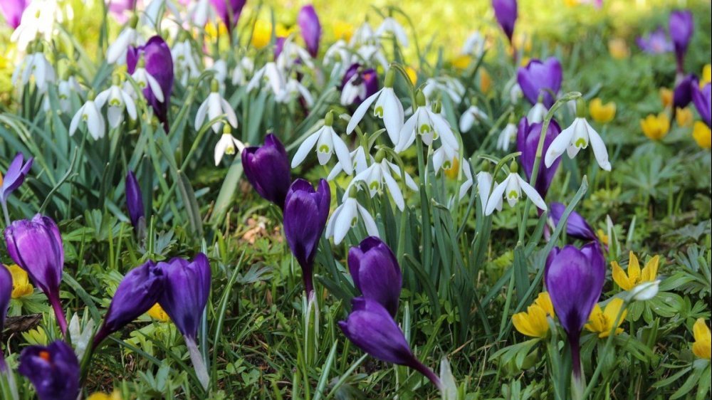 Bild: 2. Gailtaler Einkehrtag in der Fastenzeit 