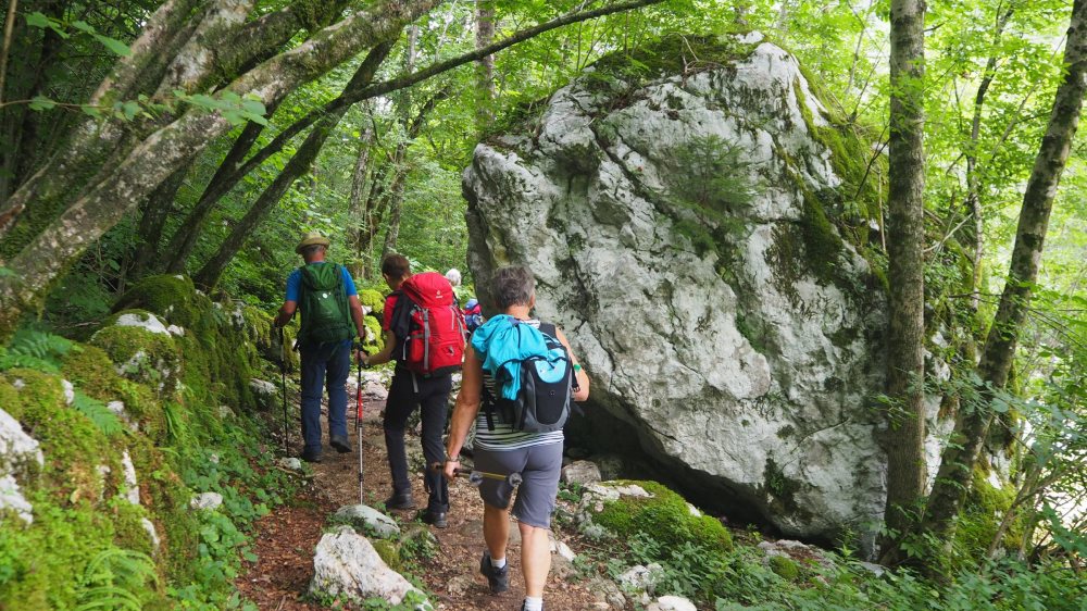 Im Soča-Tal |  Monika Gschwandner-Elkins