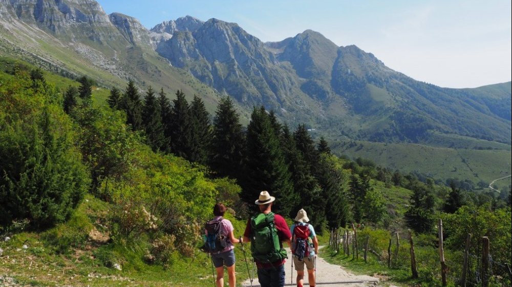  &copy; Foto: Monika Gschwandner
