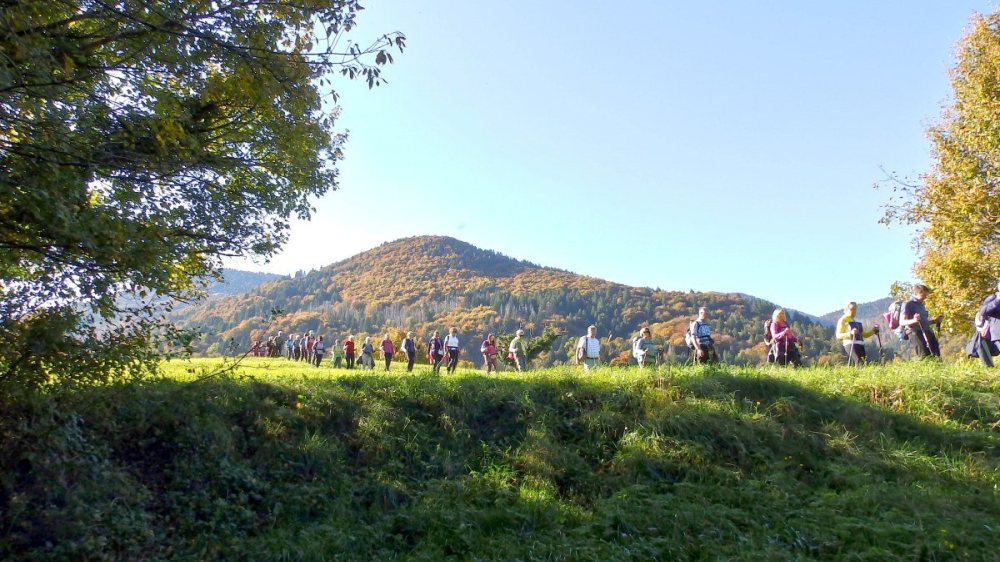  &copy; Foto: Monika Gschwandner