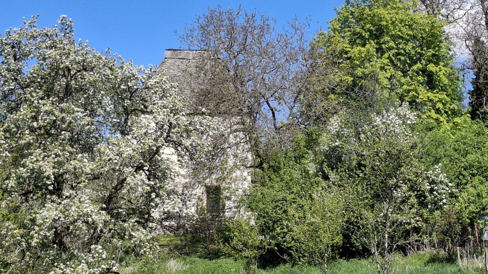 Am Donnerstag Richtung Lorenziberg |  &copy; Foto: G. Topitschnig