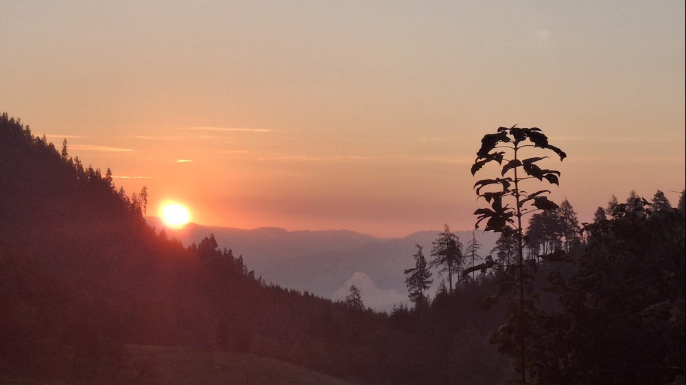  &copy; Foto: G. Topitschnig