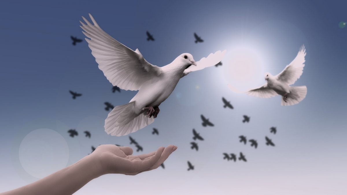 Jesus hat den Frieden an uns weiteregegeben. (https://pixabay.com/de/photos/taube-hand-vertrauen-gott-beten-3426159/)