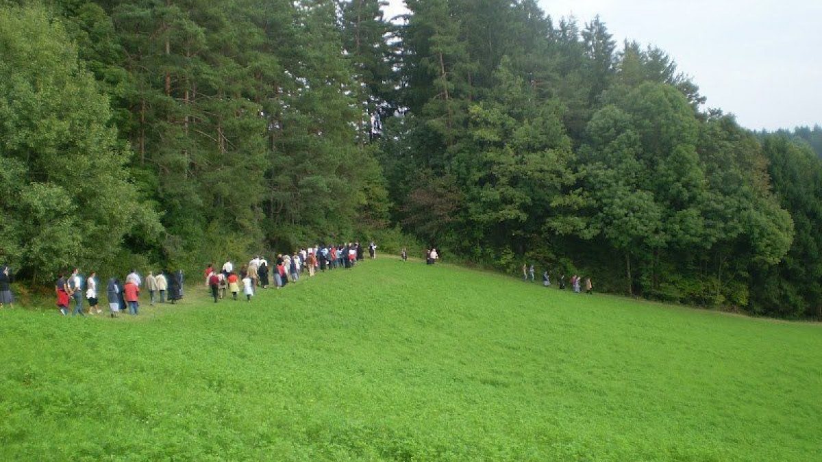 Der Abt Pfanner Besinnungsweg im Kloster Wernberg f&uuml;hrt durch Wiesen und am Waldrand entlang. (&copy; Foto: Kloster Wernberg)