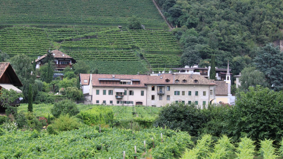 Heinrichshof in Bozen (von Vollmond11 [CC BY-SA 3.0 (https://creativecommons.org/licenses/by-sa/3.0)], vom Wikimedia Commons)